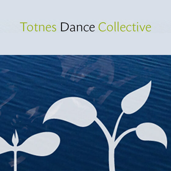 Totnes Dance Collective